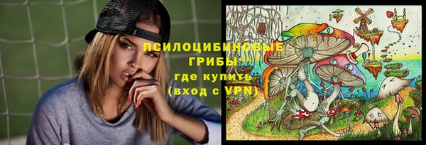 эйфоретик Новокубанск
