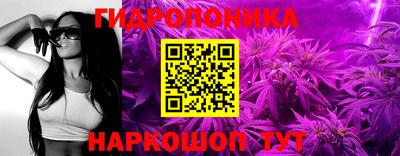 mdpv Заводоуковск
