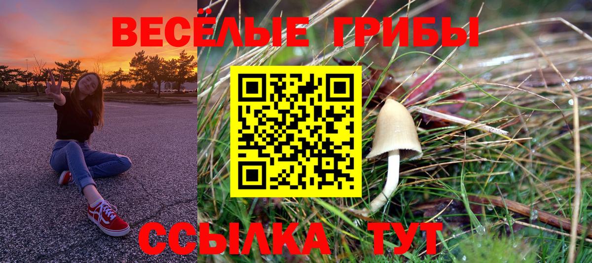 Псилоцибиновые грибы мухоморы Красноперекопск