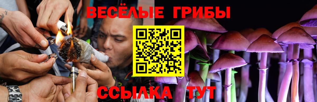 наркошоп  Вход с VPN  Красноперекопск  Галлюциногенные грибы Magic Shrooms 