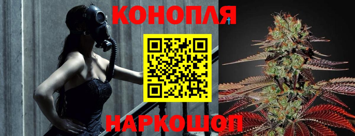 Бошки марихуана конопля Красноперекопск